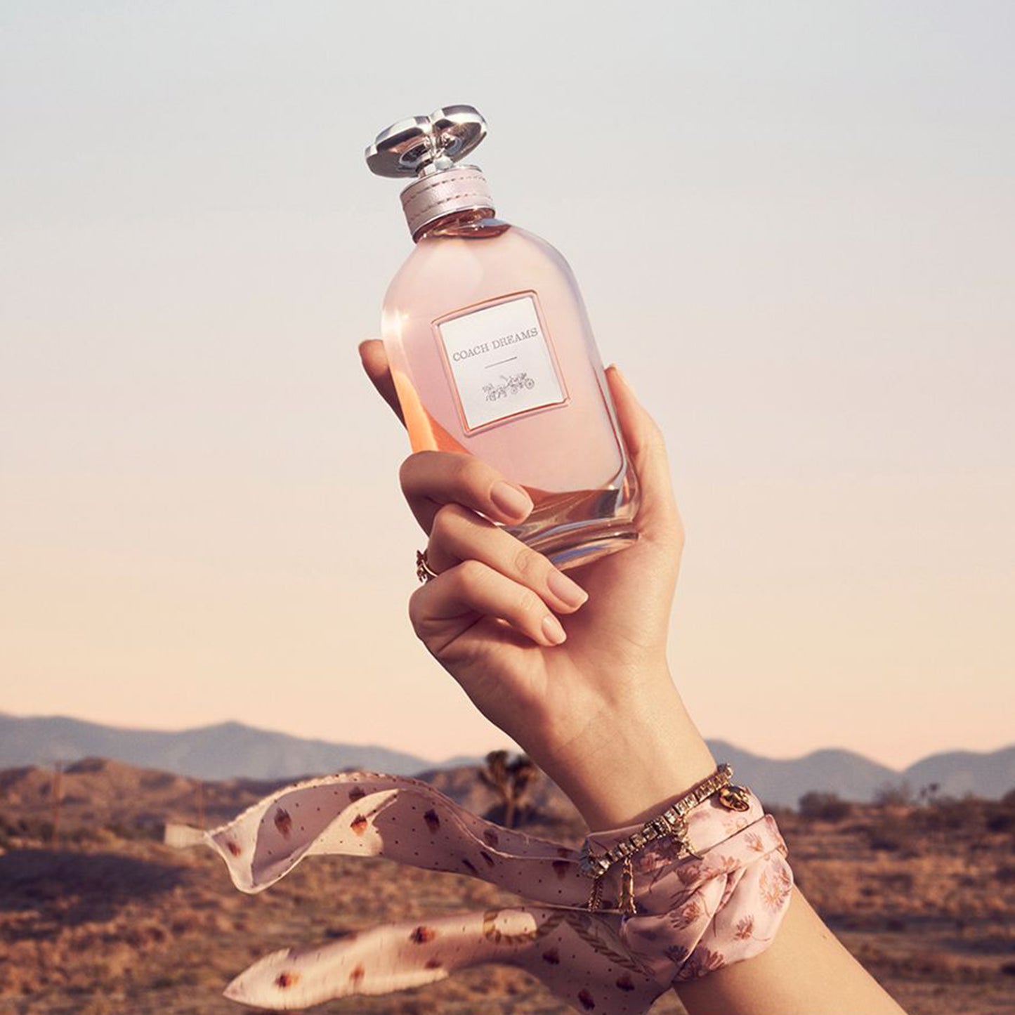 Coach Dreams Coach for women